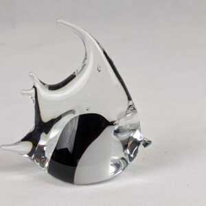 Glass Fish