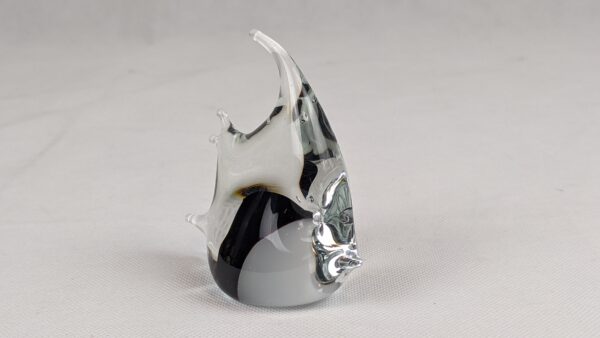 Glass Fish - Image 3