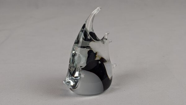 Glass Fish - Image 4